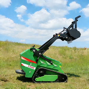 Vendita Diretta dai Produttori: Mini Caricatore Skid Steer Diesel Economico con Motore EPA, Caricatore Compatto - Product Image 5