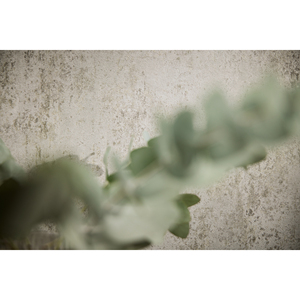 Papel Tapiz No Tejido Livingwalls con Superficie de Vinilo Sólido y Estructura en Relieve - Product Image 3