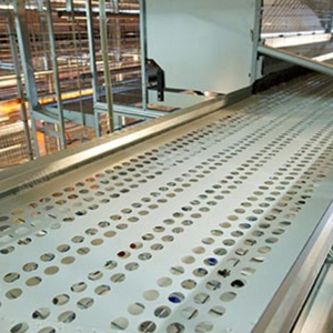 Annilte op maat gemaakte 250 mm brede geperforeerde eieren transportband voor pluimveebedrijven - Product Image 4