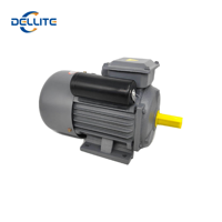 Moteur asynchrone monophasé antidéflagrant Dellette 220V 2.2KW à vitesse variable pour grue, à haut couple, économe en énergie, IE3