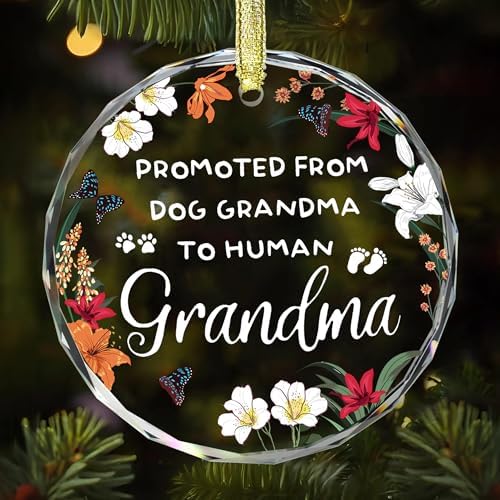 Promosso a nonna umana