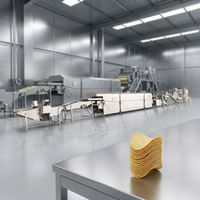 Complete productielijn voor aardappelchips, capaciteit 200 kg/uur, geschikt voor de fabricage van gepofte aardappelchips.