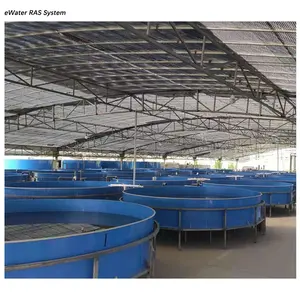 Fish Farming Equipment Fish Farming Aquaculture Cecycling Ras System Equipment Bioflock Tank For Sale
