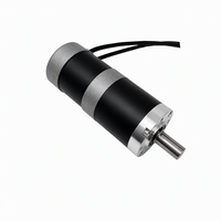57 série BLDC engrenage planétaire à 2 étages 50w moteur sans balais Performance longue durée moteur BLDC pour outils électriques