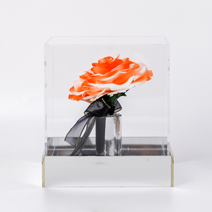 Grandi Rose Stabilizzate in Scatola Acrilica Quadrata Trasparente Solo <span class=keywords><strong>Amore</strong></span> <span class=keywords><strong>per</strong></span> <span class=keywords><strong>Lei</strong></span> <span class=keywords><strong>Regalo</strong></span> di Fiori Stabilizzati - Product Image 3