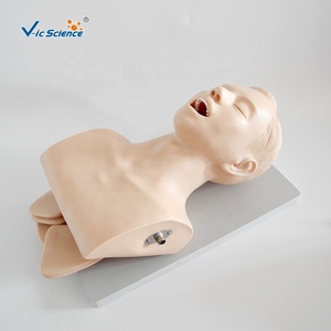 Modèle d'intubation de trachée humaine modèle d'intubation pour infirmière mannequin de soins infirmiers en science médicale - Product Image 4