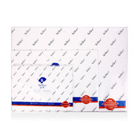 Paul Rubens Giấy Màu Nước 100% Cotton 300gsm Hạt Trung Bình/Hạt Mịn/Siêu Mịn Loạt Thanh Lịch 4K 10 Tờ/Túi