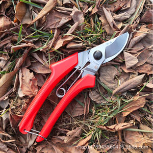 Farmers Pruning Shears 120 Stainless Steel Blade 45mm Length <b>Butterfly</b> Structure For Flowers Fruit Trees <b>Garden</b> Trimming - Product Image 1