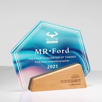 Trophée personnalisé de haute qualité en verre K9, plaque de trophée en cristal vierge avec base en bois, pour récompenses et événements.