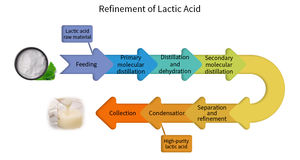 Técnicas de purificación óptima de aceite de oliva con motor de destilación fraccional automático de película delgada utilizado para material de semillas de plantas - Product Image 6
