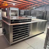 Machine à glaçons industrielle professionnelle de 0,5 tonne, en acier inoxydable, système de production de blocs de glace commerciaux