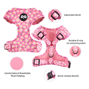 Arnés y Correa para Perro de Neopreno/Nylon Personalizado de Lujo al por Mayor con Logotipo Personalizado para Verano, Juego de Collar para Mascotas - Product Image 5