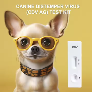 Kit <span class=keywords><strong>de</strong></span> prueba <span class=keywords><strong>de</strong></span> virus <span class=keywords><strong>para</strong></span> mascotas personalizado, kit <span class=keywords><strong>de</strong></span> prueba rápida <span class=keywords><strong>de</strong></span> fiebre canina <span class=keywords><strong>para</strong></span> uso doméstico <span class=keywords><strong>de</strong></span> mascotas - Product Image 3