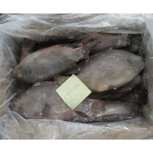 سمك البلطي الكبير المجمد بسكادو كونجيلادو تيلابيا + سعر سمك البلطي المجمد - Product Image 6