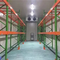 Chambre froide de stockage frigorifique pour fruits, construction d'entrepôt frigorifique, congélateur walk-in