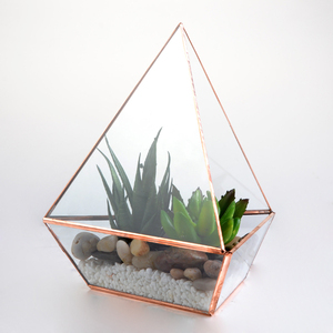 Bauen sie ihre eigenen einzigartigen <span class=keywords><strong>terrarium</strong></span> mit diesem kleinen <span class=keywords><strong>terrarium</strong></span> kit - Product Image 2