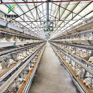 Jaulas para Gallinas Ponedoras Tipo H <span class=keywords><strong>de</strong></span> Alta Calidad, Jaulas para Codornices en Venta, <span class=keywords><strong>Jaula</strong></span> para Gallinas Ponedoras - Product Image 6