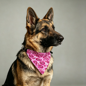 Cadeau de fiançailles pour mon maître humain, accessoire photo de <span class=keywords><strong>mariage</strong></span> triangulaire, foulard pour animal de compagnie, accessoires en toile pour animaux, bandana réglable pour chien - Product Image 1