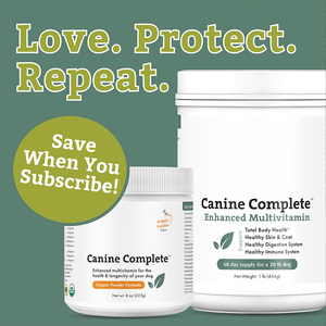 Polvere Multivitaminica OEM Diretta dalla Fabbrica per Cani di Tutte le Età, Supporta una Nutrizione Bilanciata e una Crescita Sana - Product Image 3