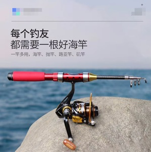 Canne à pêche surfcasting KS Mini Sea Pole 6m, action extra rapide, guides pour pêche en mer - Product Image 4