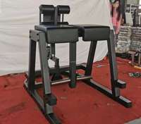 Chaise romaine professionnelle en métal pour entraînement abdominal et dorsal, avec fonctions de soulevés de jambes, tractions, curls, extensions et hyperextensions