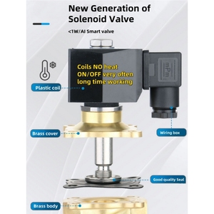 Alahot 1/4inch 2w-025-08 AC 220V/110V/24V/DC 24V/DC12V nước Brass solenoid van OEM tùy chỉnh - Product Image 3