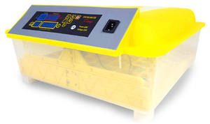 WONEGG <span class=keywords><strong>56</strong></span> fabricants d'incubateurs d'œufs bon marché pour indicateurs biologiques - Product Image 4