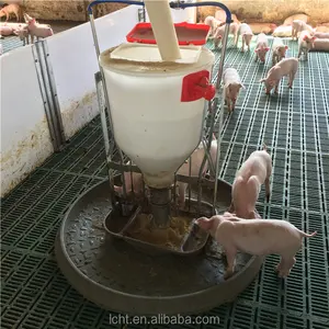 Mangiatoie per animali secche e bagnate per maiali
