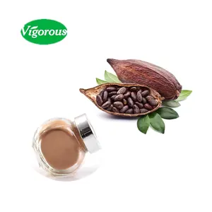 Pure Natural Organic Theobroma Cacao Powder Extract Raw
