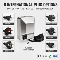 Kit Moteur de Rôtissoire pour Barbecue, Moteur AC 4W, Fourches Réglables, Accessoire de Grillade Extérieur