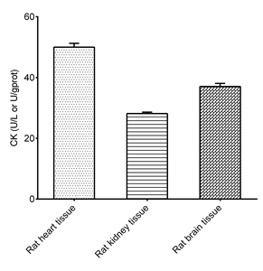<strong>Creatine</strong> Kinase (CK) Activity Assay Kit - Product Image 3