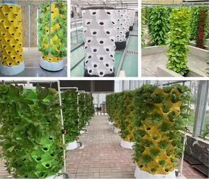 Systèmes de culture aéroponique en tour pour l'agriculture intérieure et extérieure, culture sans sol, culture verticale hydroponique, tour de culture - Product Image 6