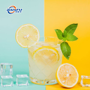 Additif alimentaire en poudre saveur froide – Améliore la saveur <span class=keywords><strong>menthe</strong></span> fruitée et les produits innovants avec une fraîcheur intense et un parfum naturel - Product Image 3