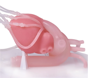 Khoa học y tế tim can thiệp đào tạo mô phỏng cho giảng dạy mô phỏng cao tim PCI mô phỏng Đào Tạo - Product Image 5