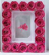 Cadeau de la Saint-Valentin, roses éternelles préservées, acrylique, naturelles, immortelles, éternelles, dans un cadre Fleur - Product Image 3