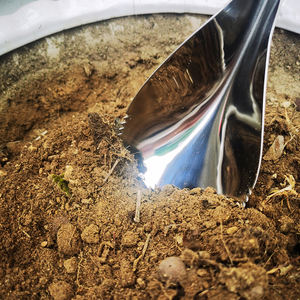 Winslow & Ross เกรียง<span class=keywords><strong>ดิน</strong></span>มัลติฟังก์ชั่น,ที่ตัก<span class=keywords><strong>ดิน</strong></span>สแตนเลส<span class=keywords><strong>พลั่ว</strong></span>ทำสวนพร้อมด้ามไม้แอช - Product Image 6