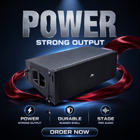 Système de sonorisation actif Line Array 2 voies de 10 pouces alimenté par DSP, en contreplaqué, pour spectacles en direct, bars, mariages et performances sur scène