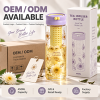 Bouteille d'eau avec infuseur à thé de 450 ml, filtre amovible et boucle de transport pour infusions de thé froid et de fruits – Vente en gros