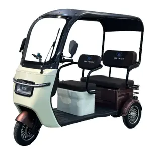 Elektromobilitäts-Drei-Rad-Scooter für Erwachsene/Ältere/Passagiere mit Dach