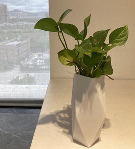 New Design 3D Silicone DIY Vas/Flowerpot Planter Flower Pot - Product Image 6