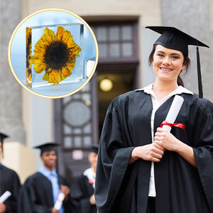 Tùy Chỉnh Nhựa Cube Acrylic Giấy Trọng Lượng Tự Nhiên Hoa Nhà Máy Bất Bồ Công Anh Hướng Dương Chặn Giấy Cho Giáng Sinh Quà Tặng Trang Trí Nội Thất - Product Image 5