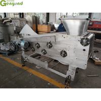 Hoge Kwaliteit Industriële Riem Sap Squeezer/Industriële Koude Pers Juicer