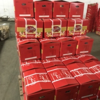 Gingembre frais de haute qualité nouvelle récolte en gros du fournisseur chinois produit d'exportation de haute qualité