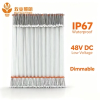 Tube lumineux LED pour volailles 48V DC IP67 étanche sans scintillement, intensité variable, IRC>83, longue durée de vie, luminaire linéaire pour poulailler