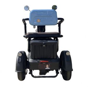 Top and Popular 35 Km/H Trike Folding Bike Foldable for the Passenger Adult - Product Image 4