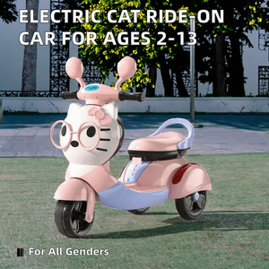 Nieuw Ontwerp Afstandsbediening Batterij Motorfiets Plastic Ride-On Auto Voor Kinderen Van 3-12 Jaar Voor Kinderen Van 5-7 Jaar Oud - Product Image 6