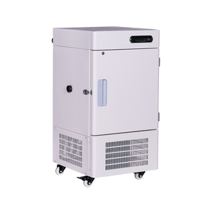 Congelador Vertical de -40 °C en Oferta, Congelador de Pequeña Capacidad de 58 L, Congelador Profundo de Enfriamiento Directo para Laboratorio y Hospital - Product Image 2