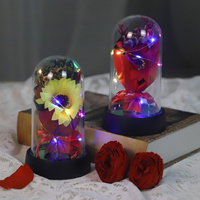 Rose éternelle artificielle 2027 avec lumière LED, cadeau pour la Saint-Valentin, fleur décorative sous cloche en verre