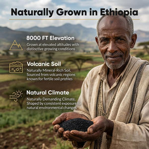 น้ำมันเมล็ดดำคุณภาพสูง แคปซูลนิ่ม อาหารเสริมน้ำมันในรูปแบบแคปซูล เสริมภูมิคุ้มกันและช่วยย่อยอาหาร - Product Image 4