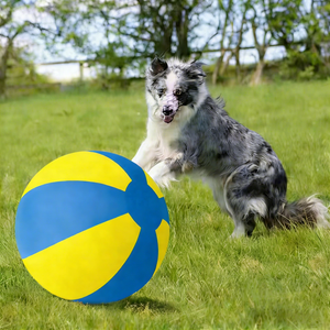 Leadershow Vente en gros Housse de ballon de pâté de ferme pour chien et cheval, pour l'extérieur, avec logo personnalisé et taille adaptée, pour <span class=keywords><strong>la</strong></span> gymnastique, le fitness et <span class=keywords><strong>la</strong></span> pâté de ferme, accessoire de pâté de ferme - Product Image 1